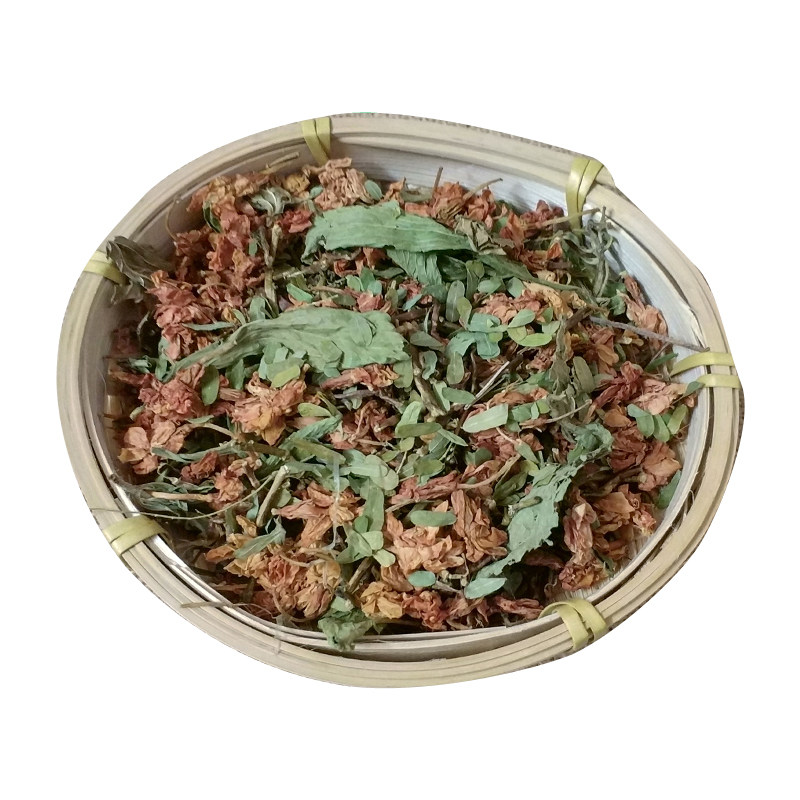 云南长寿草花蜜茶山密草茶梗
