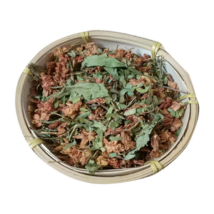 云南长寿草花蜜茶山密草茶梗