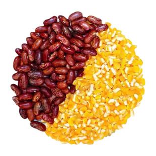 东北玉米新笨大碴子去皮糯玉米粒粗粮糁茬粥特产芸豆组合软糯黄糯