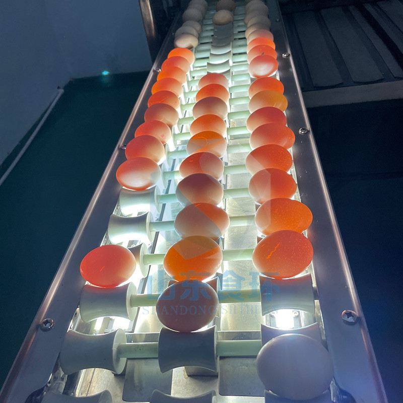 蛋品分选机 鸭蛋重量鸡蛋分选设备 蛋视觉裂纹蛋检测?电子分级机,清洗/食品/商业设备,选果机/分选机,淘宝优惠券,粉丝福利购,淘宝优惠卷