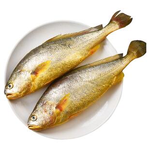 新货大黄花鱼新鲜冷冻生鲜水产鲜活冰鲜海鱼宁德小黄鱼黄鱼鲞商用
