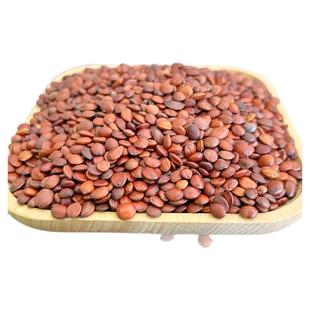 酸枣仁2025新货正品邢台太行山野生酸枣仁睡眠中药材100/250g