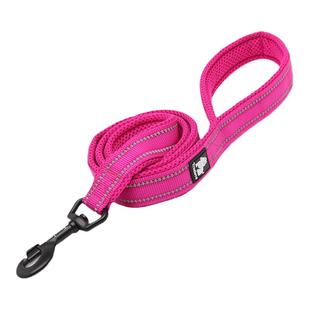 truelove狗狗P链宠物牵引绳遛狗绳子宠物用品小型犬中型大型泰迪