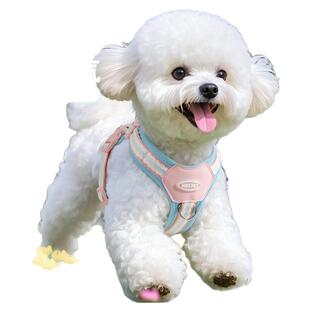 狗狗牵引绳胸背小型犬宠物胸背式牵狗绳胸背带幼犬遛狗绳外出专用