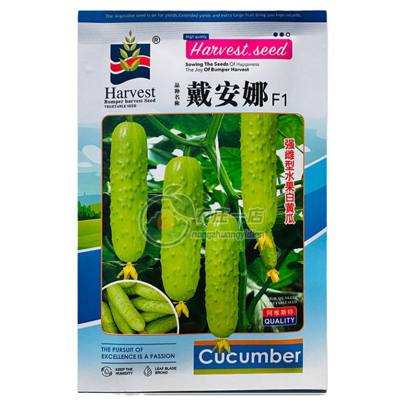 强雌型水果白黄瓜种子籽口感清脆