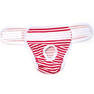 宠物狗狗生理裤棉质薄款透气经期卫生裤母泰迪柯基安全防骚扰裤子