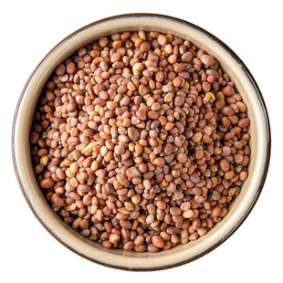 中药材莱菔子白萝卜籽道地甄选莱服籽茶无硫新货萝卜子萝白菜头子