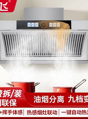 新飞侧吸式油烟机家用小型厨房智能九档大吸力抽油烟机燃气灶套装
