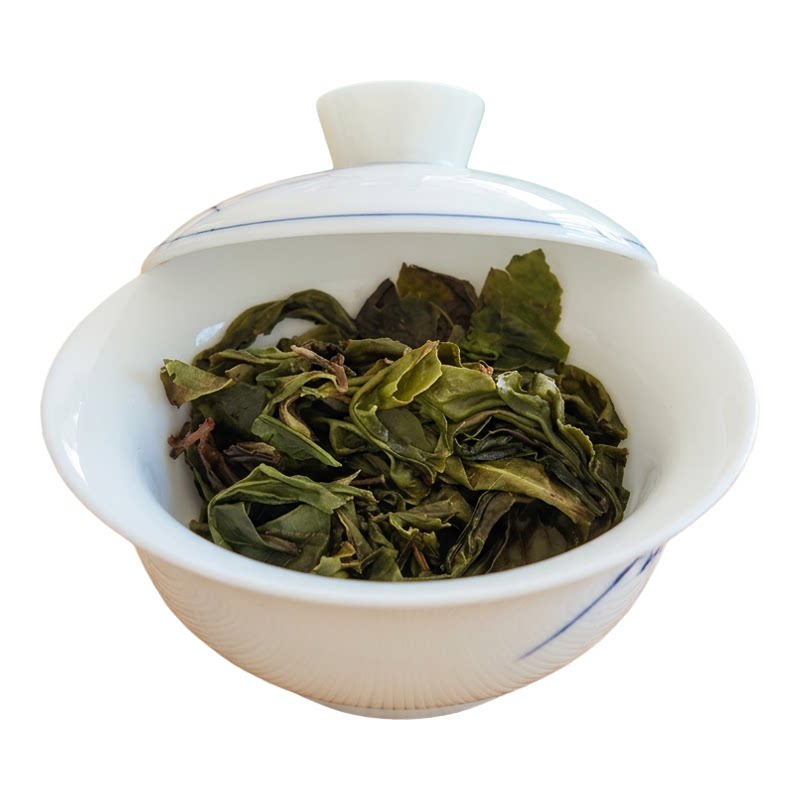 大雪山春茶普洱生茶龙珠8g单泡