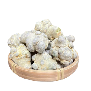冻干三七独立包装云南文山