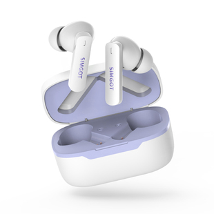 兴戈空岚FLD200真无线入耳式ANC主动降噪蓝牙耳机长续航高音质