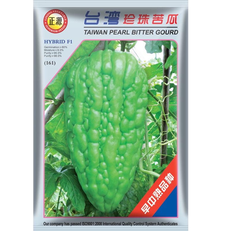 台湾珍珠杂交水果四季大顶苦瓜