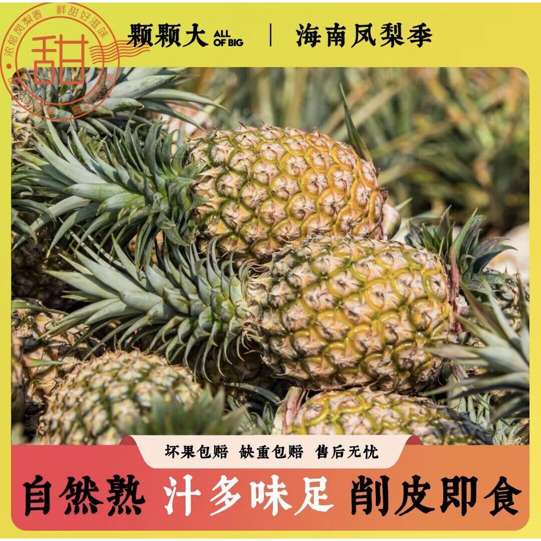 海南金钻凤梨17号树上熟新鲜水果5斤坏果包赔