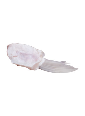 中山吊水脆肉鲩鱼腩小翅
