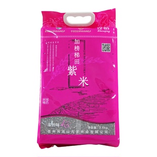 贵州从江加榜梯田2025年新米紫米紫糯米五谷杂粮