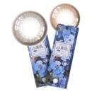 韩国NEO小黑环日抛美瞳芭蕾灰10片装