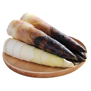 若谷家集 | 舌尖临安天目山春笋现挖现采质嫩无渣时令鲜笋