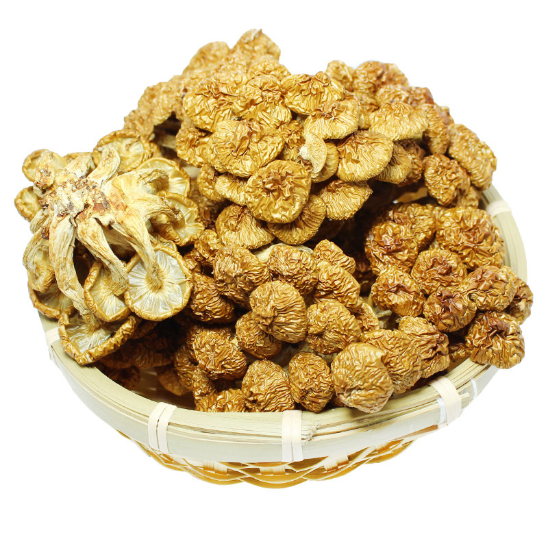 新鲜滑子菇干货土特产蘑菇