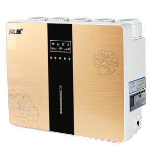 净水器家用400G大流量直饮净水机ro反渗透自来水过滤器除垢纯水机
