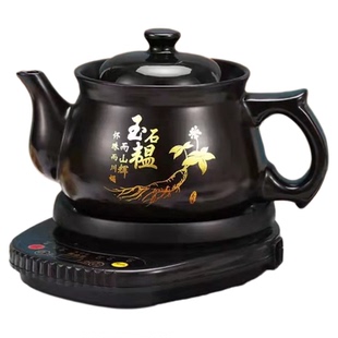 中药电子煎壶全自动大容量熬药砂锅家用中医煮炖药壶煲汤中药煎锅