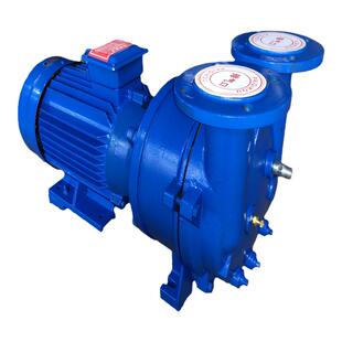 官方正品2BV水环式真空泵抽真空热销品真空泵大功率工业用抽气泵