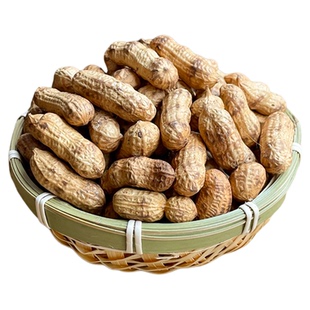 铁锅炒花生2025年农家新货带壳红皮原味生熟柴火瓜子炒货坚果零食