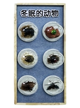 春夏秋冬四季环创幼儿园墙贴