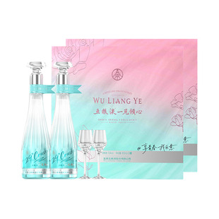 【邓紫棋推荐】29度五粮液一见倾心限定礼盒500mL*2瓶*2白酒双盒