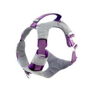 狗狗背带胸背带外出 可提拉遛狗绳户外宠物用品防爆冲狗狗牵引绳