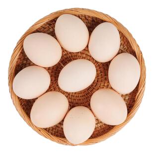 【50枚大个蛋】正宗散养土鸡蛋农家新鲜无抗无激素营养谷物笨鸡蛋