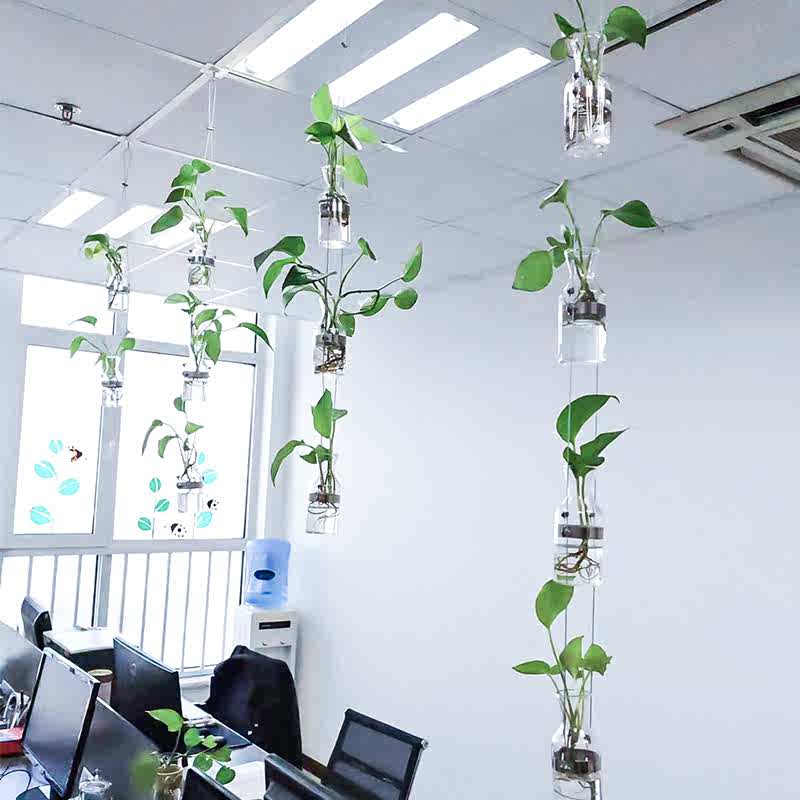 创意轻奢玻璃水培花瓶绿植隔断家居幼儿园植物风铃墙上装饰品挂件