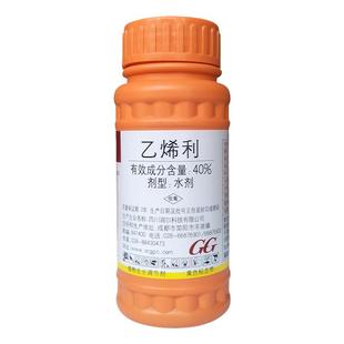 国光乙烯利催熟剂香蕉番茄柿子香蕉树棉花催熟生长调节剂农药