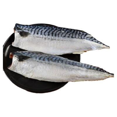 大片！挪威青花鱼约180-220g/片