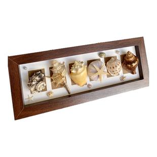 海南三亚复古海洋天然海胆海螺贝壳标本创意桌面摆件节日生日礼物