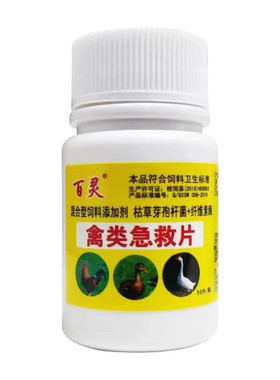 禽类急救片救禽一片活重症死不了鸡鸭鹅鸽子用
