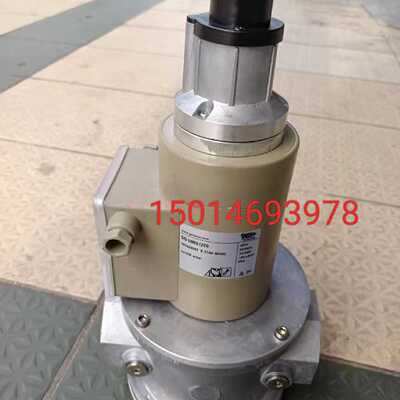 议价施能 SG15RS/220T， SG20RS/220T， SG25RS/220T燃气电磁阀SG