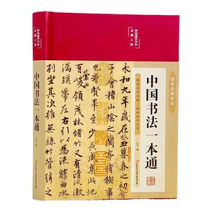 当当网 中国书法一本通大全精装中国历代书法篆书楷书入门历代名家王羲之颜真卿收藏真迹艺术书法篆刻作品集书法集名帖一点通技法