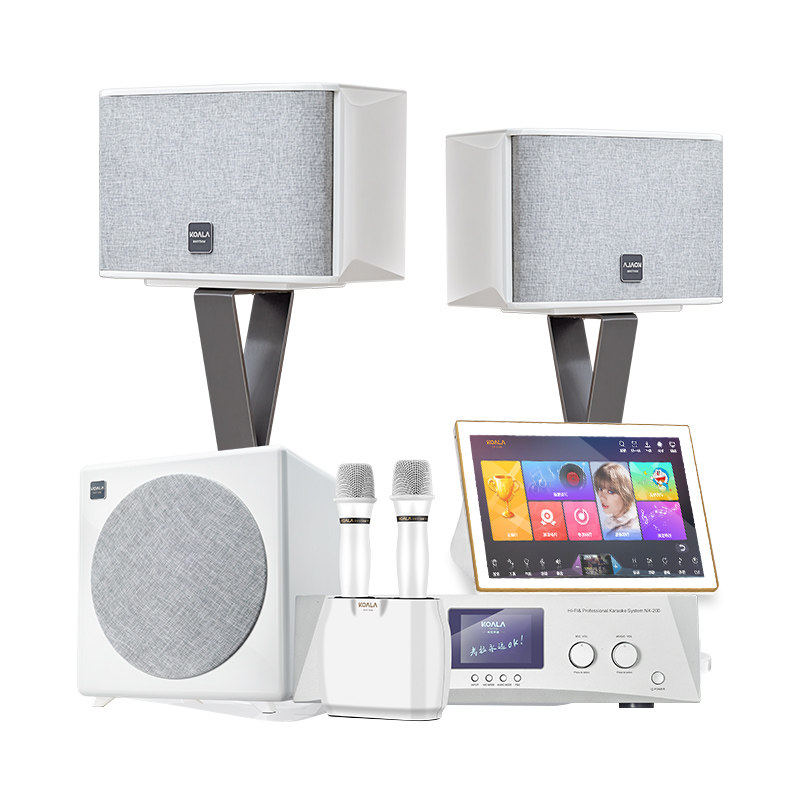 考拉声律NX-10家庭KTV专业音响套装全套家用客厅K歌卡拉OK唱歌