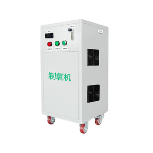 10L20升制氧机高密度水产养殖增氧机鱼池工业纯氧机高浓度氧气机