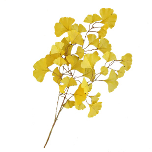 仿真银杏叶子 背景墙 工程造景婚庆装饰假树枝黄色仿真花绿色树叶