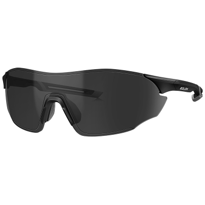 暴龙骑行运动防风墨镜攀岩眼镜