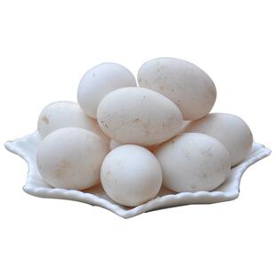 山东正宗土鹅蛋新鲜农家散养鹅蛋当现新鲜大鹅蛋去孕妇批发个12装