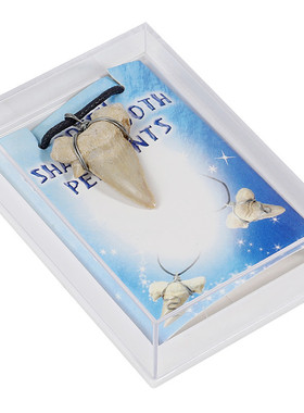 鲨鱼牙齿化石项链手工绕丝牙吊坠