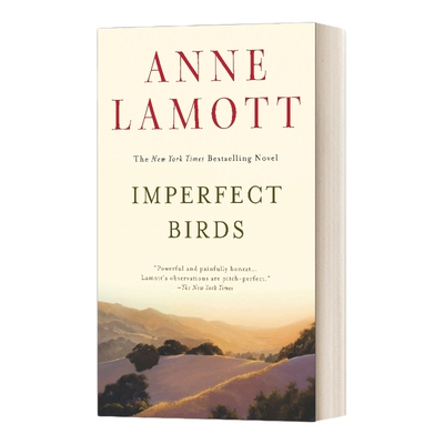 英文原版小说 Imperfect Birds 不完美的鸟类 英文版 进口英语原版书籍