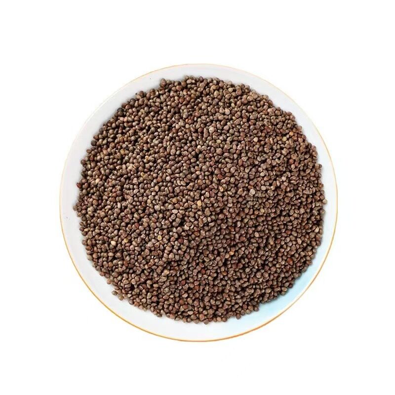 中药材紫苏子500g炒苏子熟紫苏子籽食用紫苏子紫苏子粒野生紫苏子