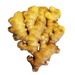 山东特产大姜生姜带泥大块整姜新鲜生姜非小黄姜25年新姜