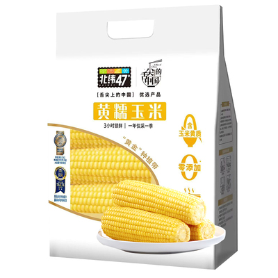 北纬47度黄糯玉米东北白糯即食