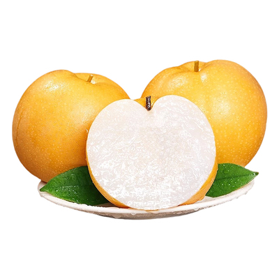 山东秋月梨新鲜梨子当季现摘莱阳