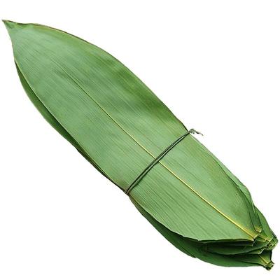 新鲜粽子叶野生大粽叶100片