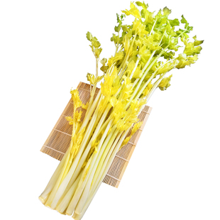 平度马家沟空心芹菜心山东特产大叶黄玻璃脆酒店新鲜生吃凉拌黄芹